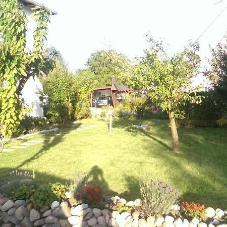Familienfreundliche Wohnung In Vorland Mit Garten エクステリア 写真